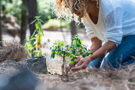 Stainless Door Hardware Celebrates Earth Day in a Major Way Stainless Door Hardware Celebrates Earth Day in a Major Way